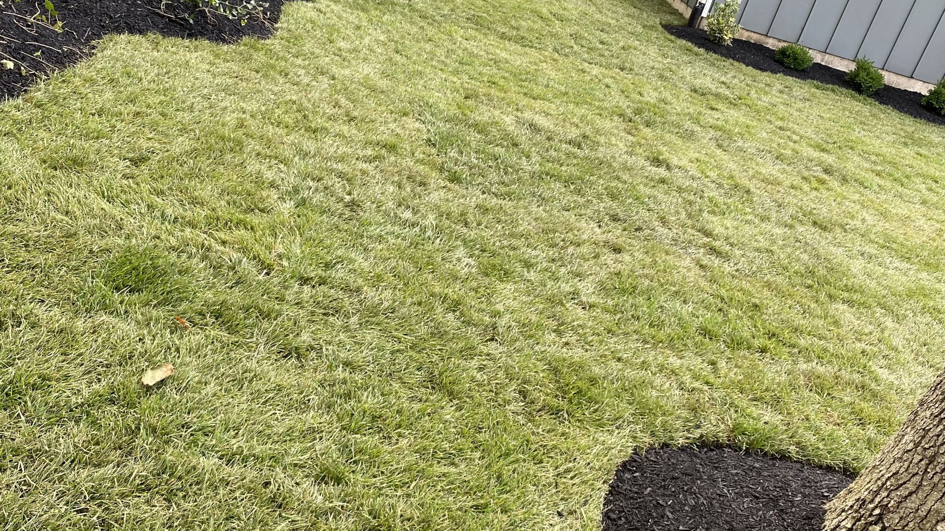 Landscaping Installation In Moorestown, NJ