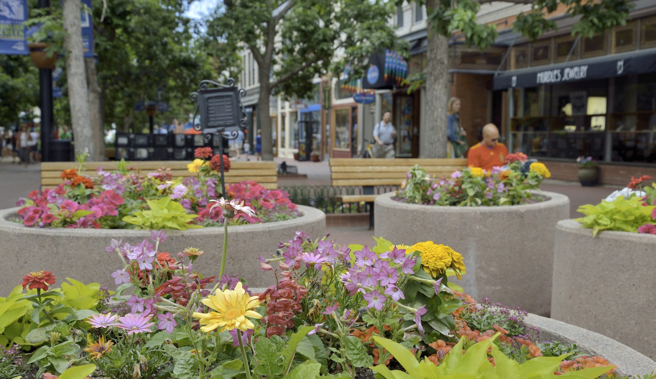 Commercial Landscapers in Mount Holly, NJ Lindy's Landscaping of New